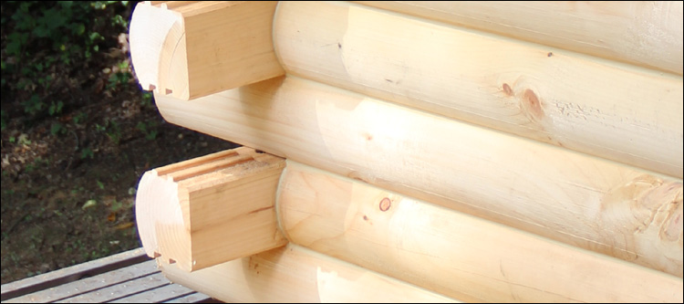 Log Home Damage Repair  Spruce Pine,  North Carolina